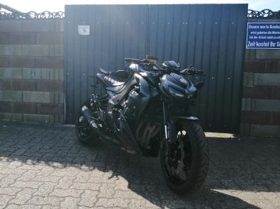 Kawasaki Z1000 2010